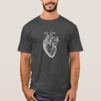 Anatomical Heart