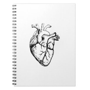 Anatomical Heart Vintage Line Art Notebook