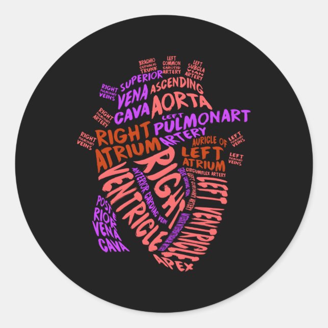 Anatomical Hu He Cardiology Medical Cardiac Nurse Classic Round Sticker (Front)