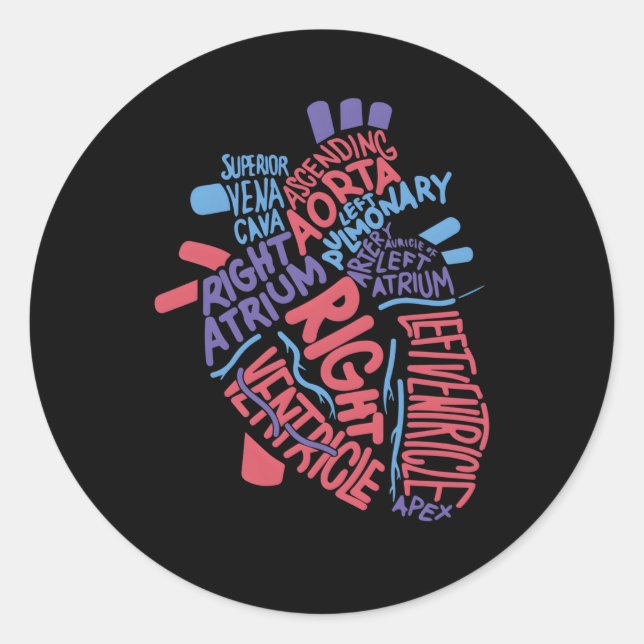 Anatomical Hu He Cardiology Medical Cardiac Nurse Classic Round Sticker (Front)