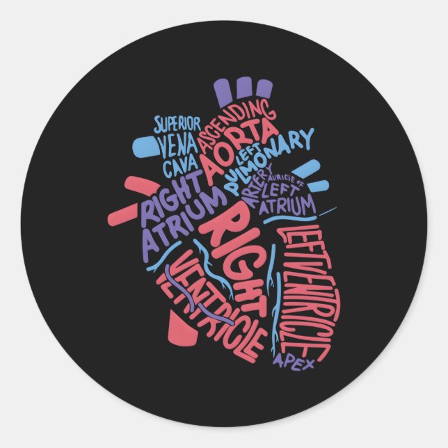 Anatomical Hu He Cardiology Medical Cardiac Nurse Classic Round Sticker (Front)