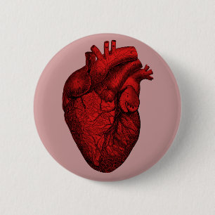 Anatomical Human Heart 6 Cm Round Badge
