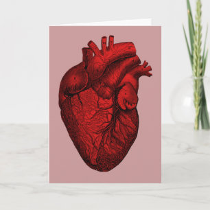 Anatomical Human Heart Card