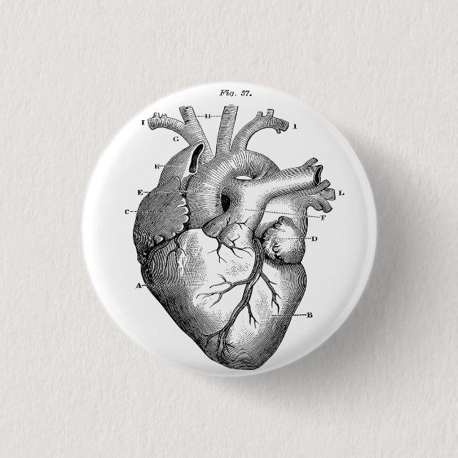 Anatomical Human Heart Diagram button pin (Front)