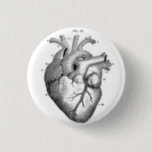 Anatomical Human Heart Diagram button pin<br><div class="desc">Anatomical Human Heart Diagram button pin</div>