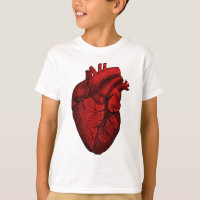 Anatomical Human Heart