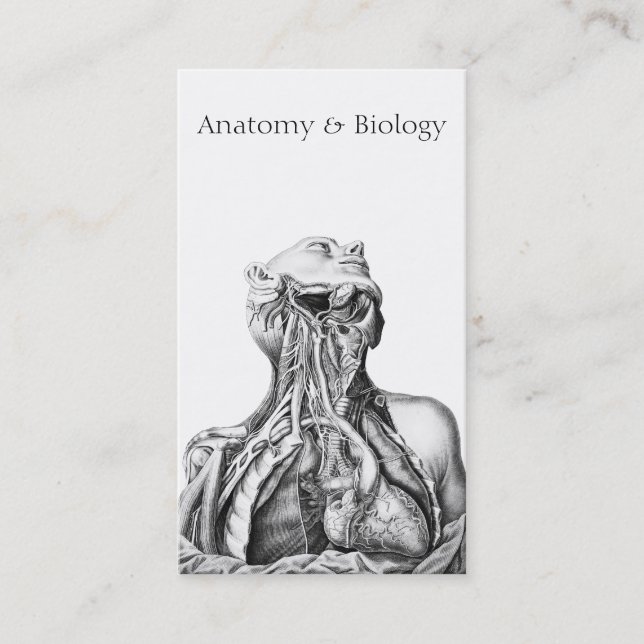 Anatomical Illustration Medical Sciences Business Card (Front)