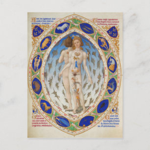 Anatomical Man in Duke Berry's Très Riches Heures Postcard