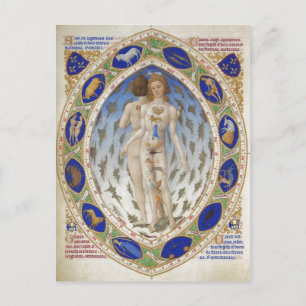 Anatomical Man, Les Tr?s Riches Heures du duc de B Postcard