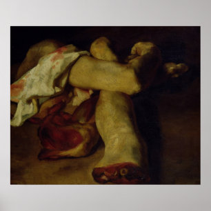 Anatomical Pieces Poster