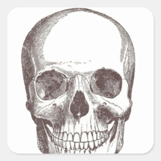 Anatomical Skull, Black/White Square Sticker