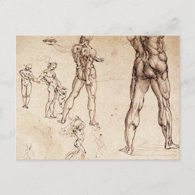 Anatomical  Studies Postcard (Front)