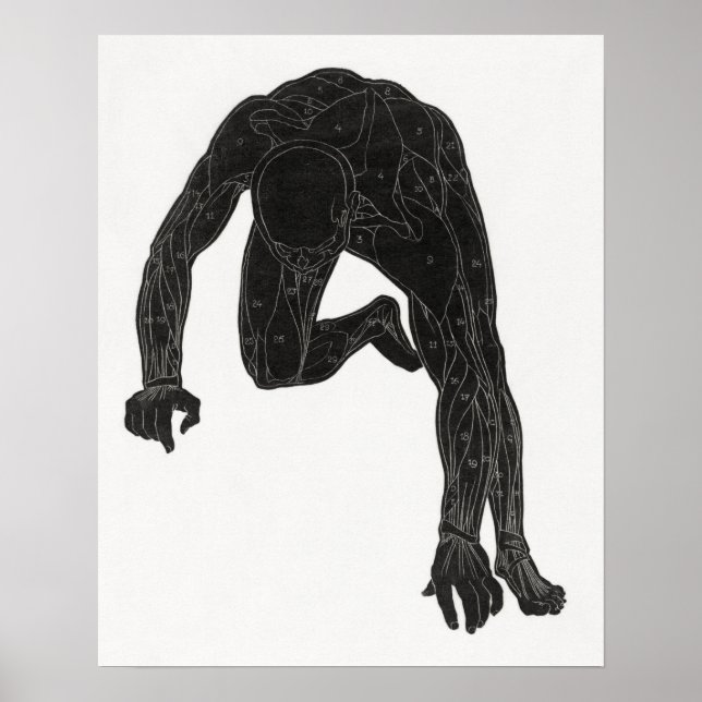 Anatomical study of a man's neck poster (Front)
