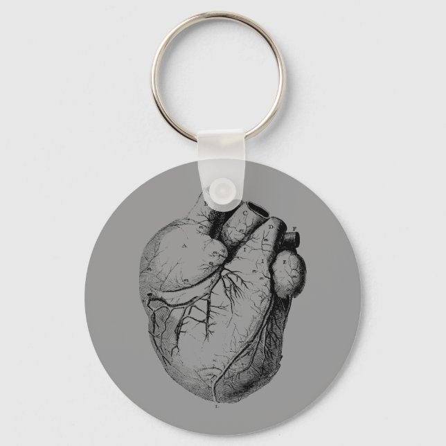 Anatomically Correct Heart Key Ring (Front)