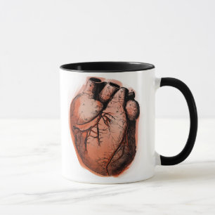 Anatomically Correct Heart Mug