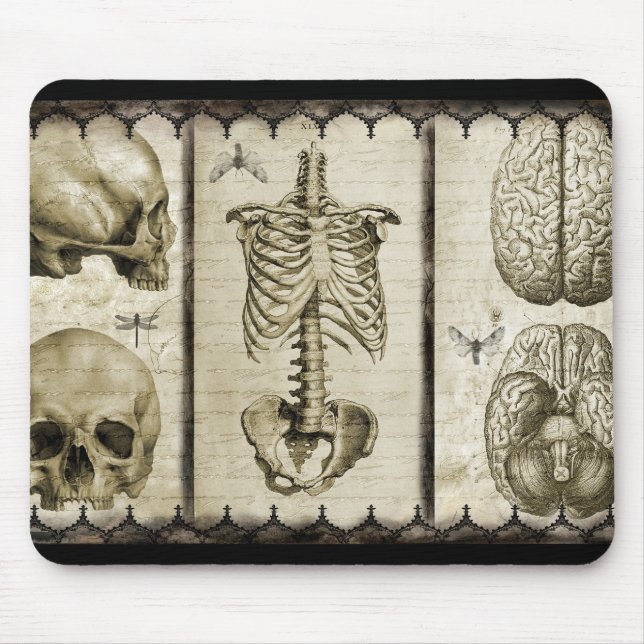 Anatomise Mouse Mat (Front)