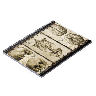 Anatomise Notebook