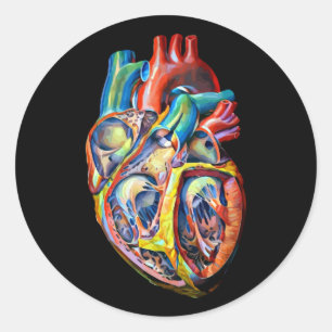 anatomy abstract art colourful human heart classic round sticker