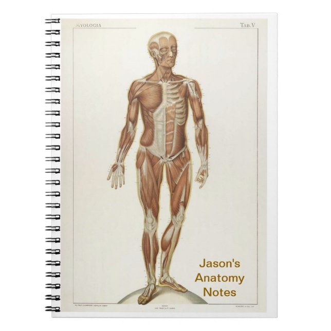 Anatomy Anterior Notebook (Front)