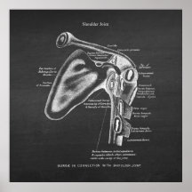 Anatomy Art No.1 Shoulder Joint