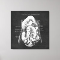 Anatomy Art of Digestive System Doctor Gift