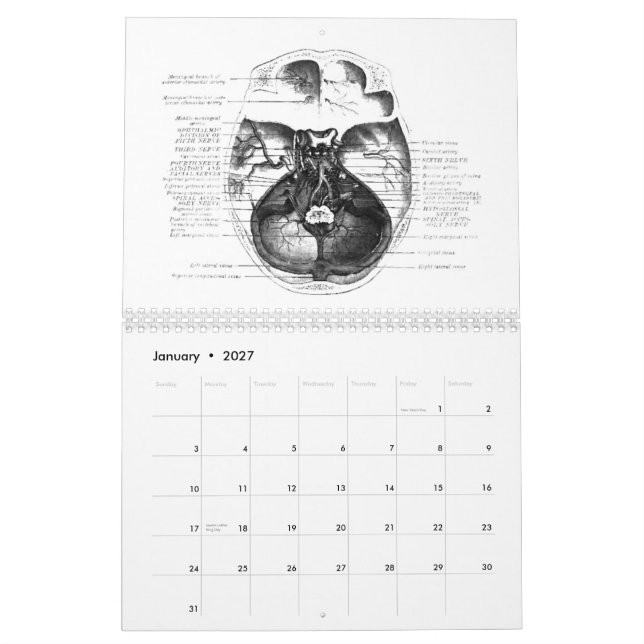 Anatomy Calender Calendar (Jan 2027)