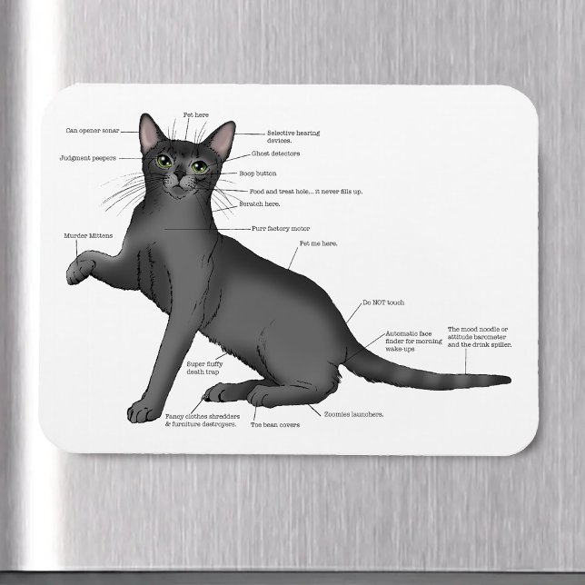 Anatomy Cat Funny Magnet (Creator Uploaded)