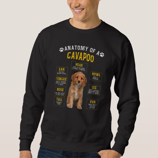 Anatomy Cavapoo  For Women Men Sweatshirt (Front)