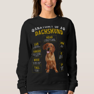 Anatomy Dachshund For Women Men Sweatshirt