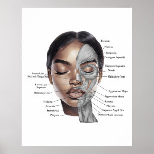 Anatomy Face Print 3