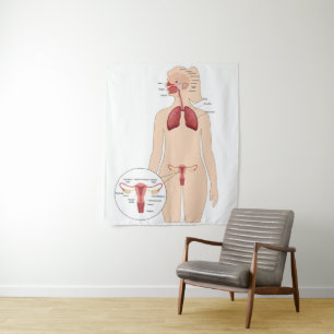 Anatomy female reproductive system and lungs tapestry