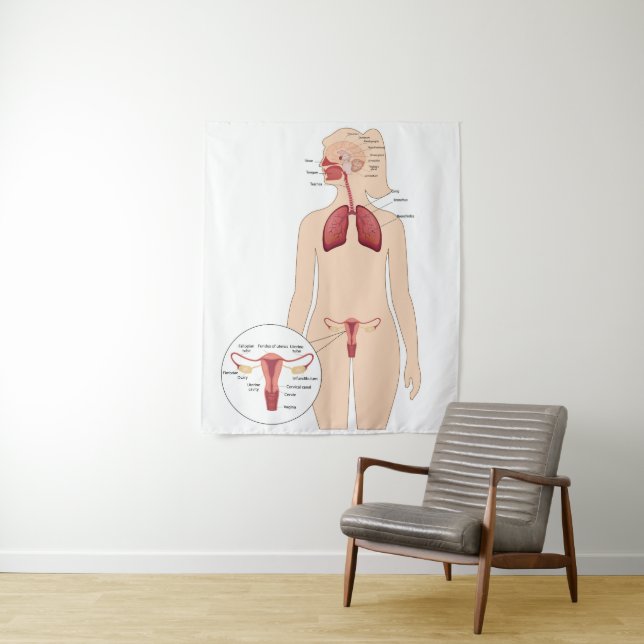 Anatomy female reproductive system and lungs tapestry (In Situ)
