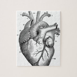 Anatomy-Heart-Images-Vintage Jigsaw Puzzle