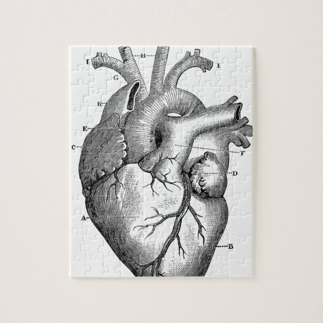 Anatomy-Heart-Images-Vintage Jigsaw Puzzle (Vertical)