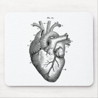 Anatomy-Heart-Images-Vintage Mouse Mat