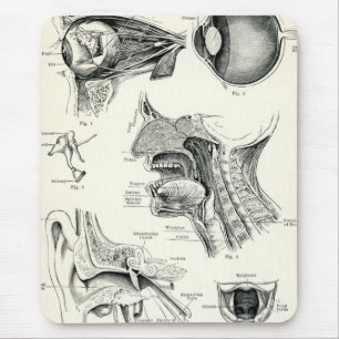 Anatomy - Human Senses Mouse Mat