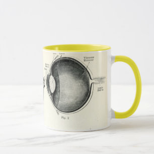 Anatomy - Human Senses Mug