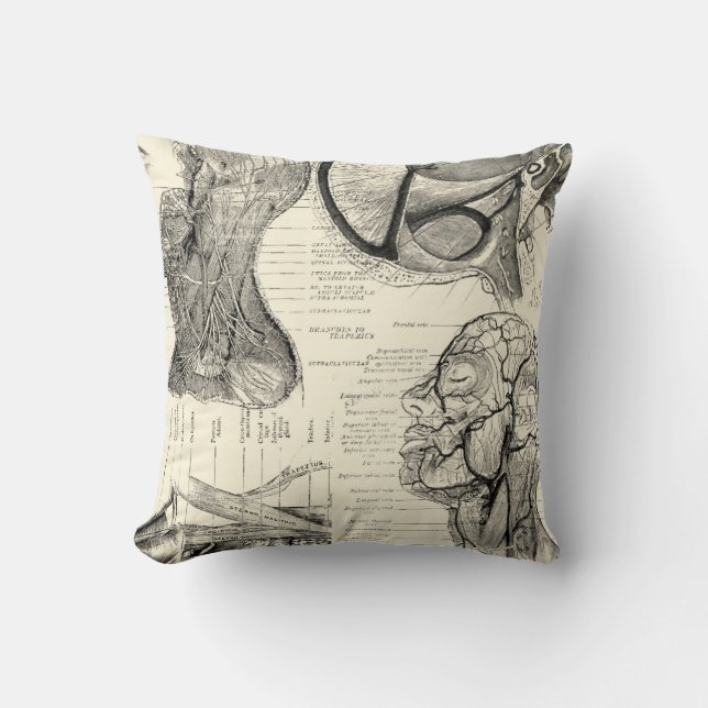 Anatomy Illustration Pillow (Front)