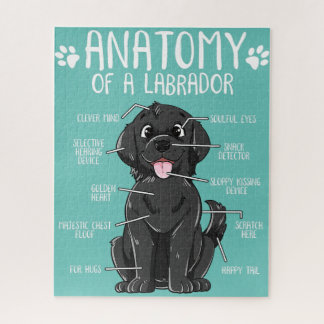 anatomy labrador retriever black lab dog owner jigsaw puzzle
