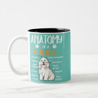  anatomy maltese dog lover  Two-Tone coffee mug