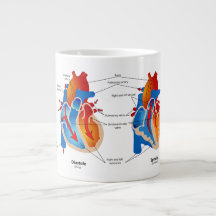 Anatomy Mug-Heart