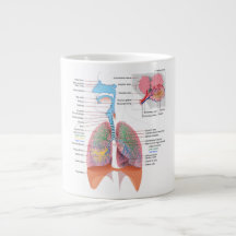 Anatomy Mug-Respiratory