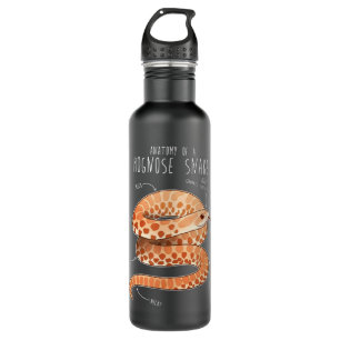 Anatomy of a Albino Hognose Snake 710 Ml Water Bottle