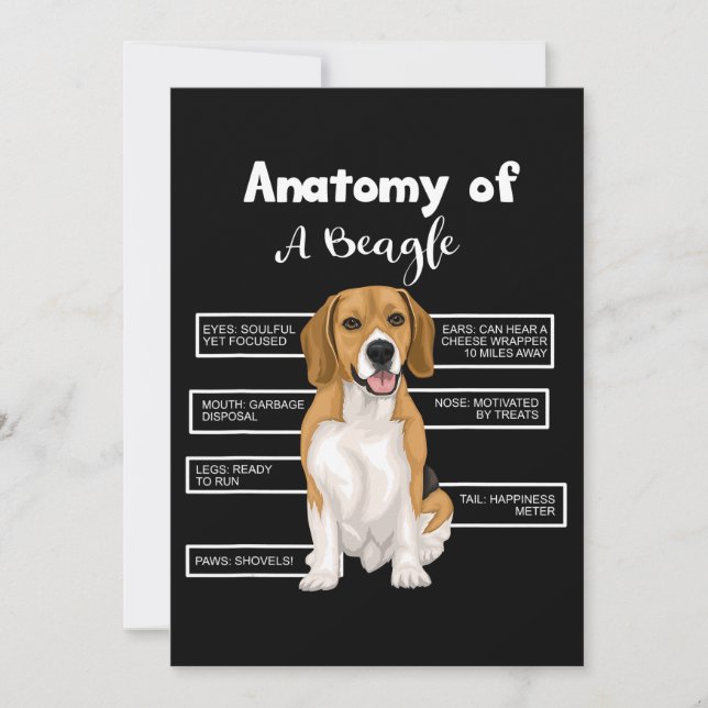 Anatomy Of A Beagle Funny Dog Lovers Gifts Announcement (Front)