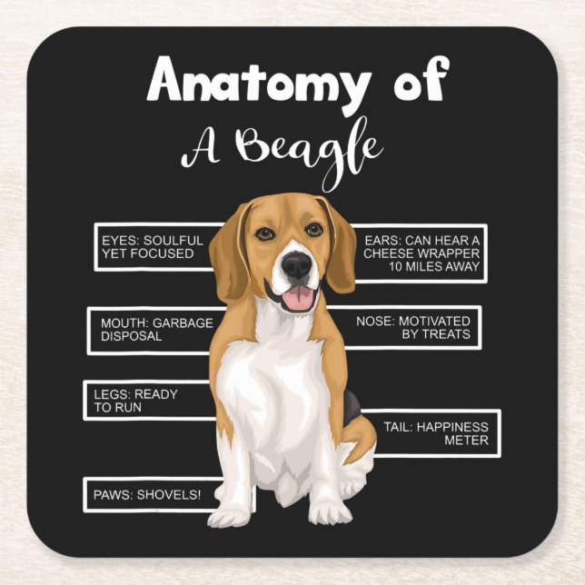 Anatomy Of A Beagle Funny Dog Lovers Gifts Square Paper Coaster (Front)