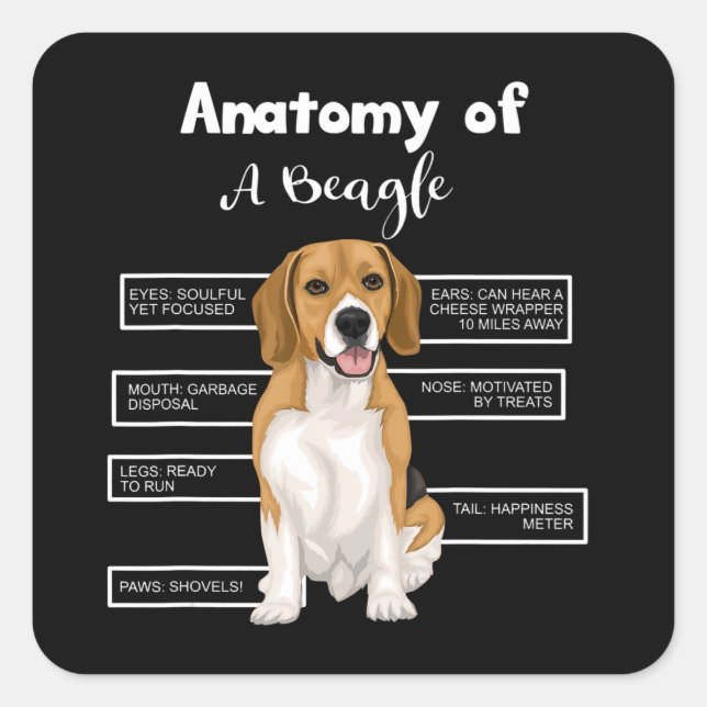 Anatomy Of A Beagle Funny Dog Lovers Gifts Square Sticker (Front)