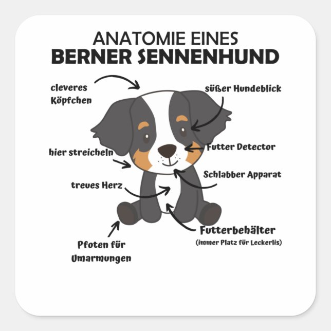Anatomy Of A Bernese Mountain Dog Cute Dogs Puppy Square Sticker (Front)