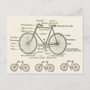 Anatomy of a Bicycle Postcard
