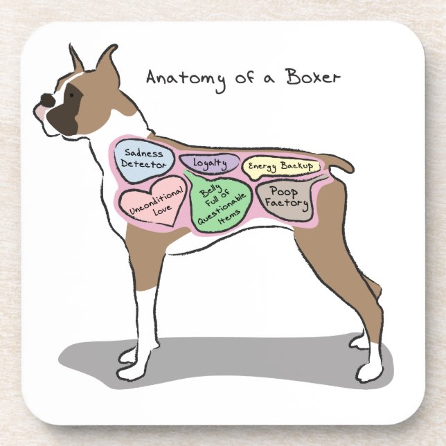 Anatomy of a Boxer Dog gifts Coaster (Front)