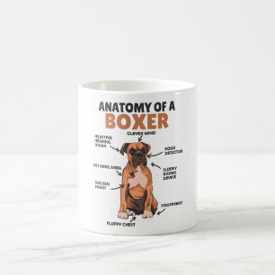 Anatomy Of A Boxer Sweet Dog Puppy Coffee Mug